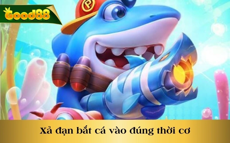 Xả đạn bắt cá vào đúng thời cơ